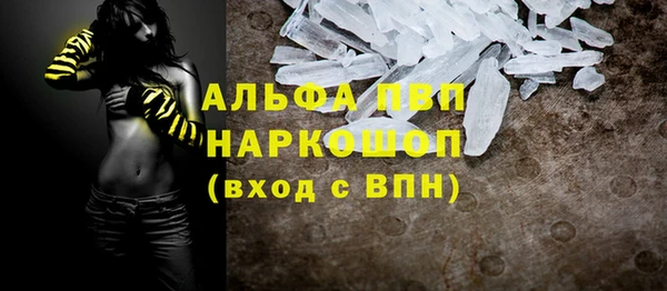 сатива Болохово