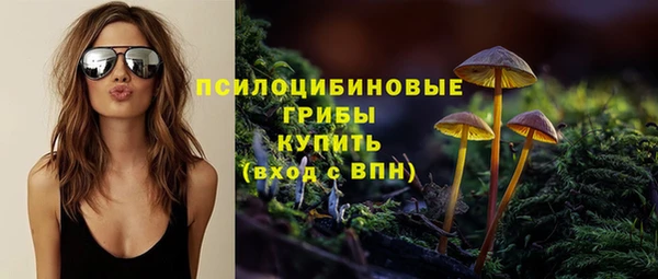 ALPHA-PVP Новозыбков