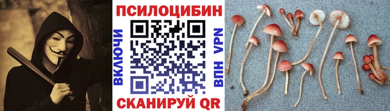 Галлюциногенные грибы прущие грибы  гидра ссылки  Барнаул  купить наркоту 