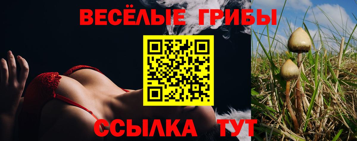 Барнаул  купить закладку  Вход с VPN  Псилоцибиновые грибы GOLDEN TEACHER 