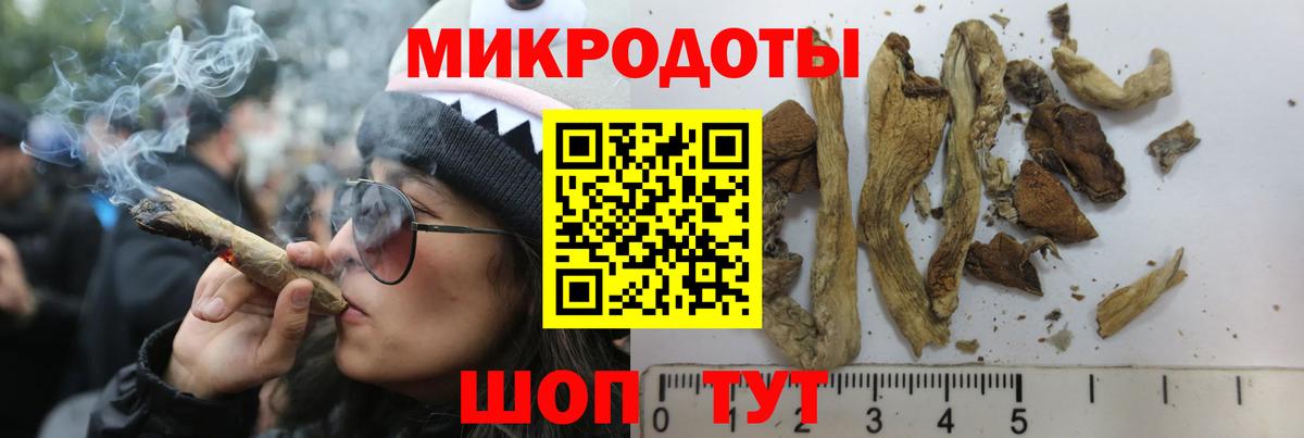 Галлюциногенные грибы прущие грибы Барнаул